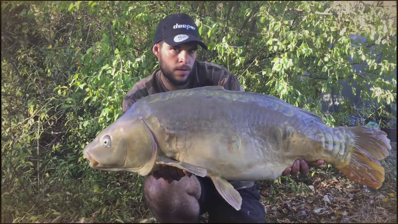 P&ecirc;che &agrave; la carpe 2017