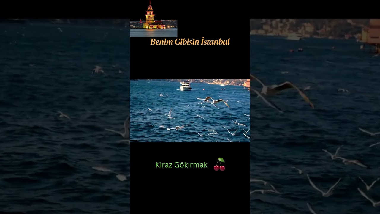 Benim Gibisin İstanbul #music #yenişarkılar #popularsong #viralşarkı #viralshort #hitşarkılar
