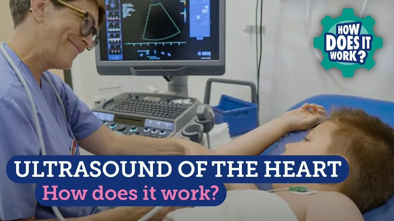 Ultrasound of the Heart (Children)