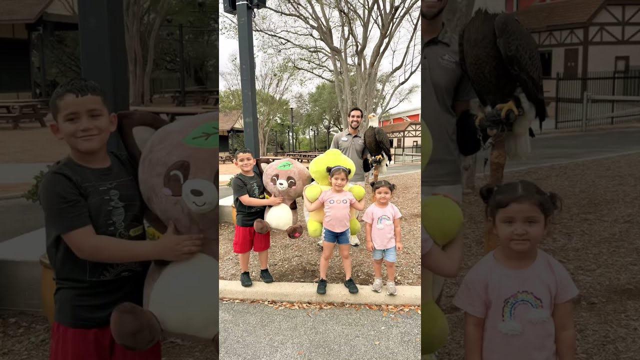 Day 2 at Sea World 🌎🦈 #seaworld #sharktank #sanantonio #likeandsubscribe #funvideo #springbreak2026