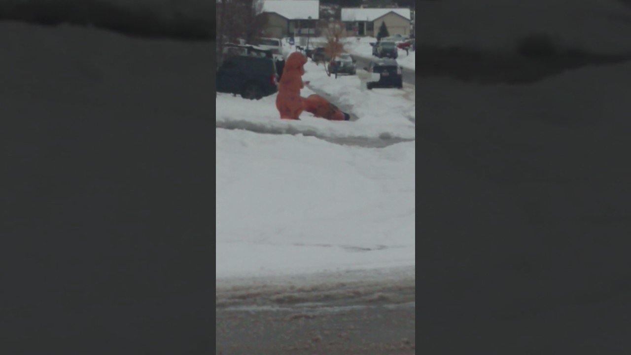 T-Rex snowball fight (original)