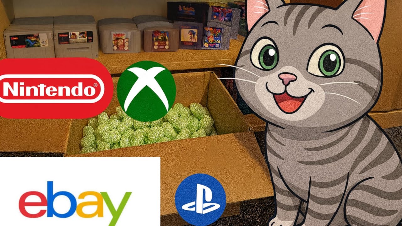 Ich habe 10 zufällige Konsolenspiele gekauft (Nintendo, Playstation, Xbox)