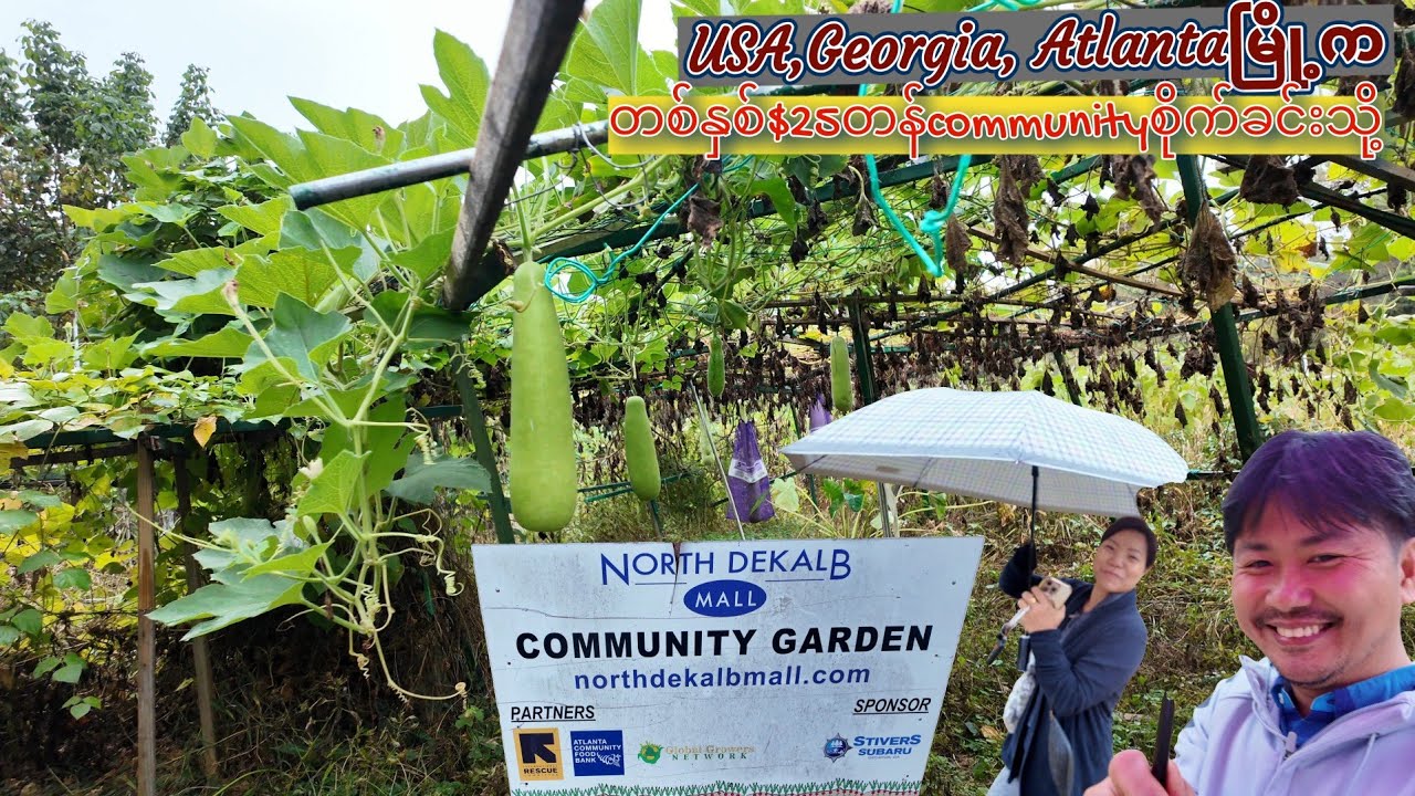 USA,Georgia, Atlantaမြို့ကတစ်နှစ်$25တန်communityစိုက်ခင်းကိုလေ့လာကြည့်မယ်