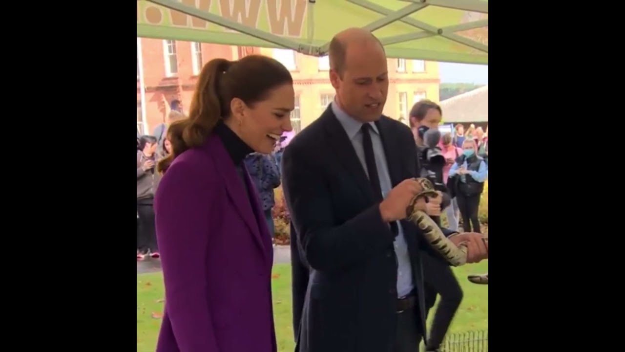 Prince William and Kate funny moments 