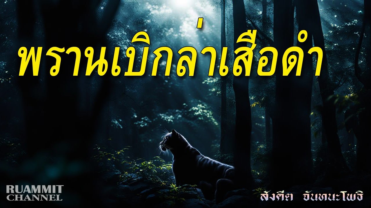 พรานเบิกล่าเสือดำ | เรื่องเล่าจากพรานเก่า