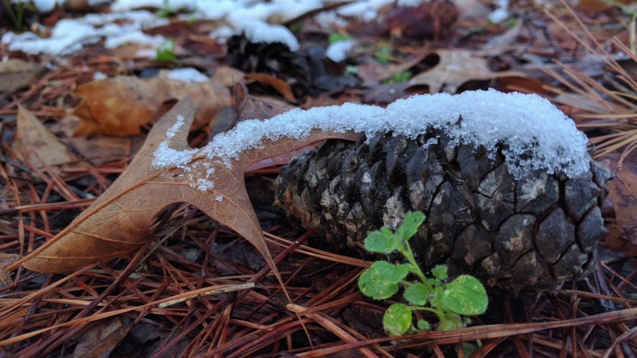 Kiyoshi Kono Yoru - Silent Night {Learn Japanese Through Hymns!!!}