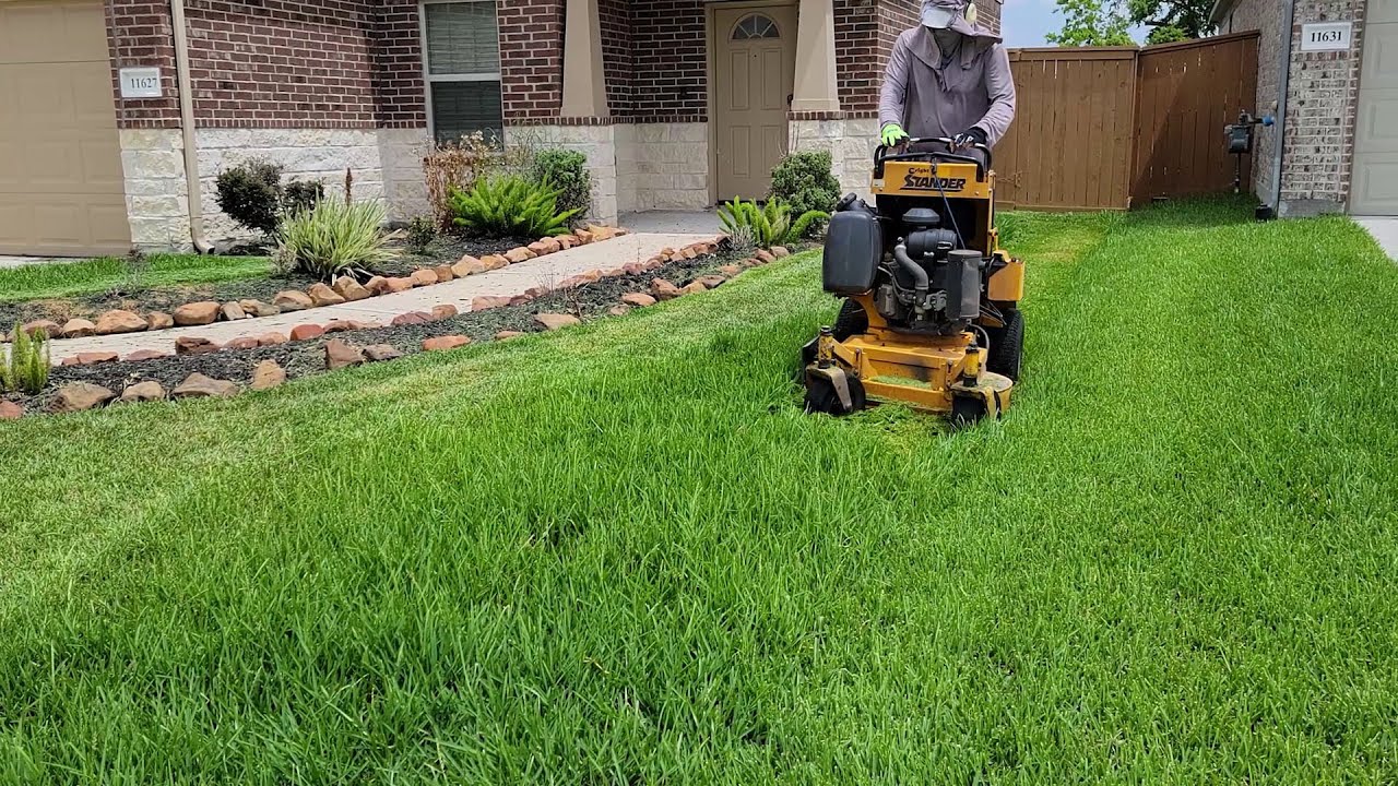 Lawn Mowing ▶9