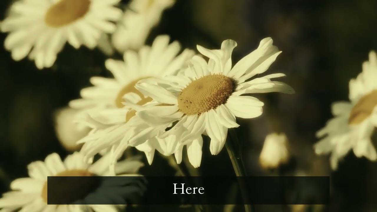 The purpose of life  