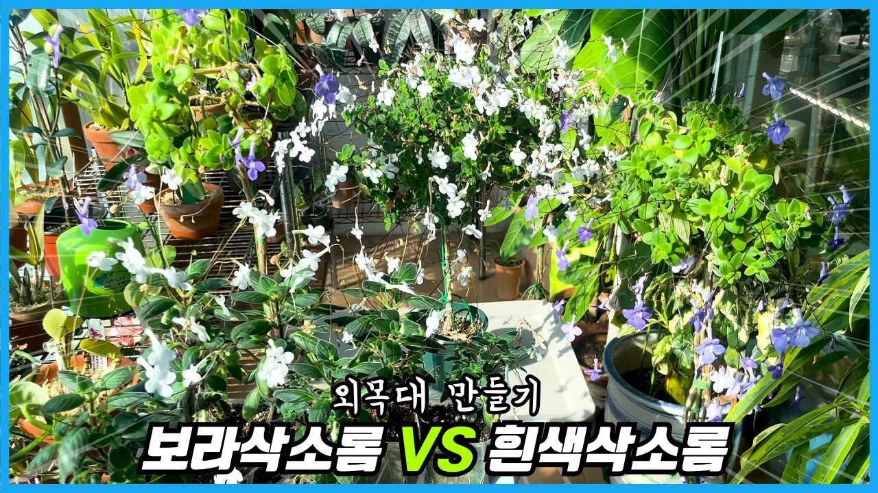 외목대 삭소롬 만드는 전 과정 대공개!! 올해는 꼭 따라해 보세요!!