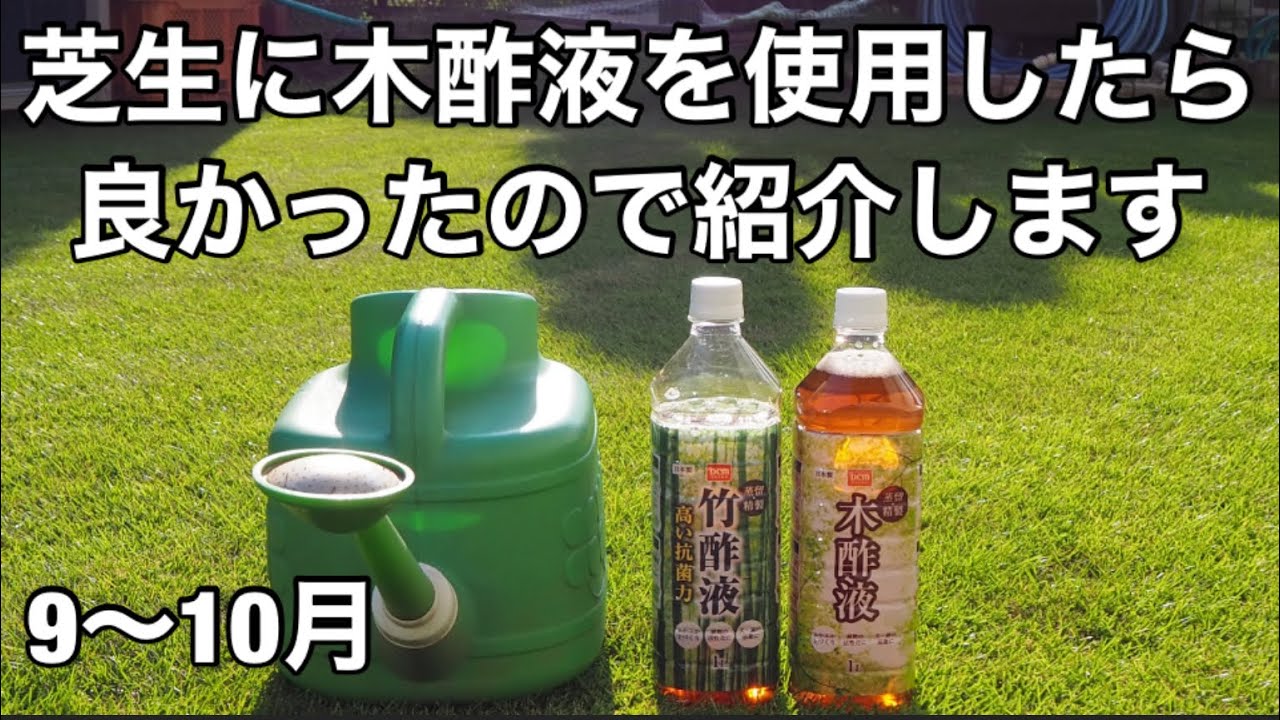 芝生の病気予防【成長促進】に木酢液が効く❗️
