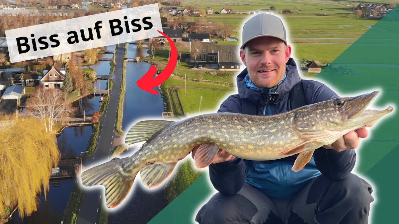 Hechte im Minutentakt - Wo kommen all die Fische her??? Teil 1/2
