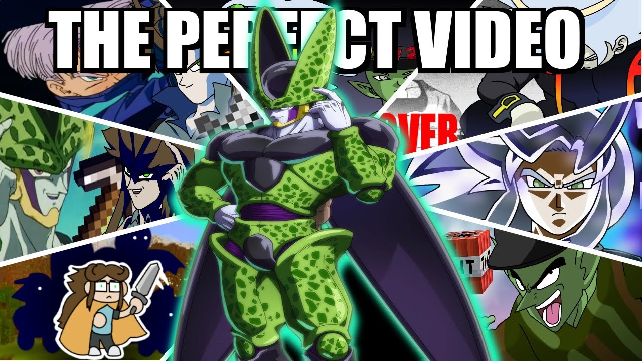 The Perfect Video