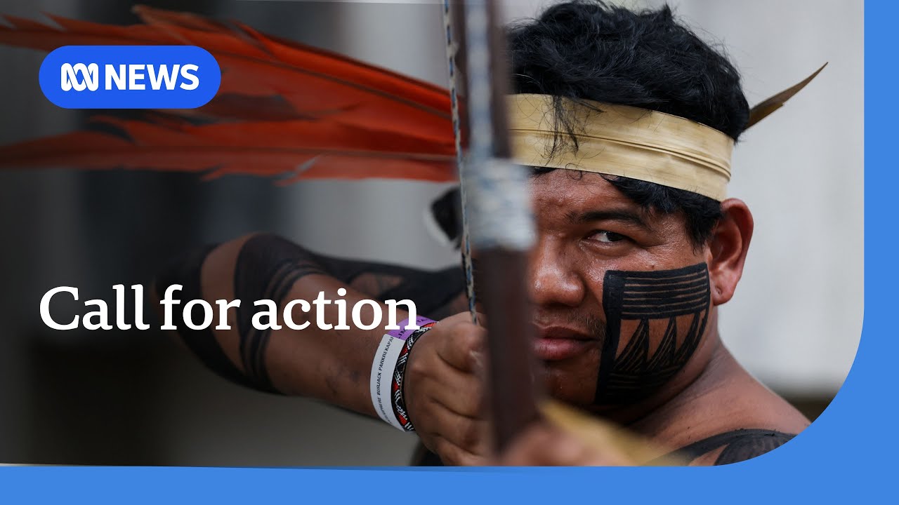 United Nations Climate Change Conference COP30 underway in Brazil | The World | ABC NEWS