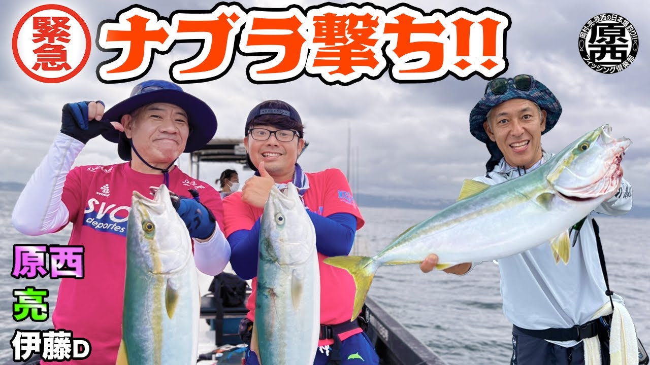 緊急！東京湾ナブラ撃ち！