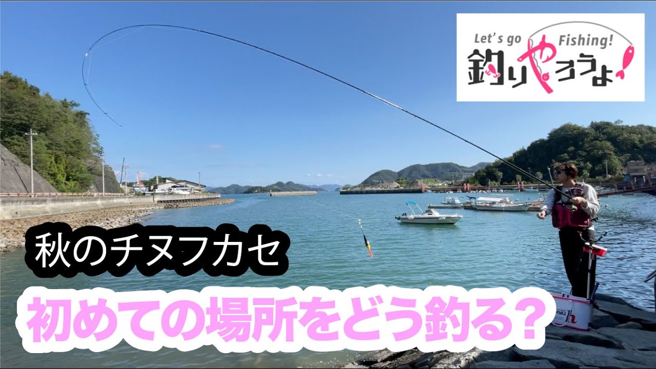 【秋のいい時期】チヌフカセ、初めての場所にアタック