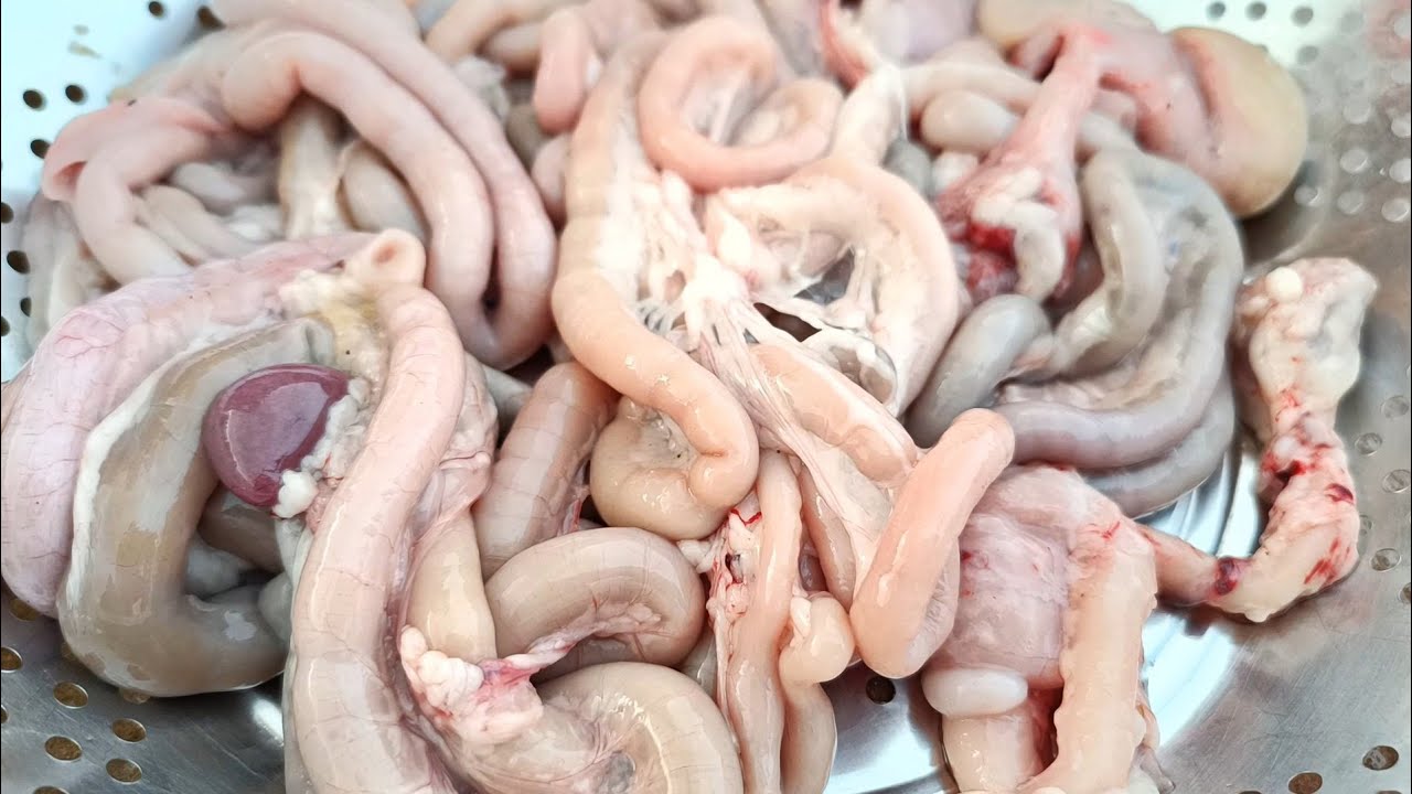 Murge ki nali saaf karne ki vidhi / Chicken 🐔 nali cleaning !! astha ki rasoi