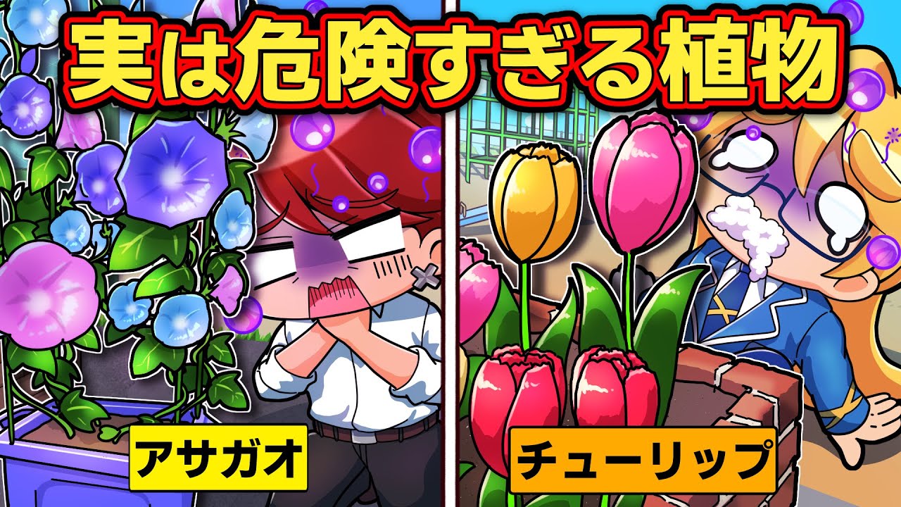 絶対近づくな！あなたの身近にある猛毒植物４選【アニメ】【マンガ】