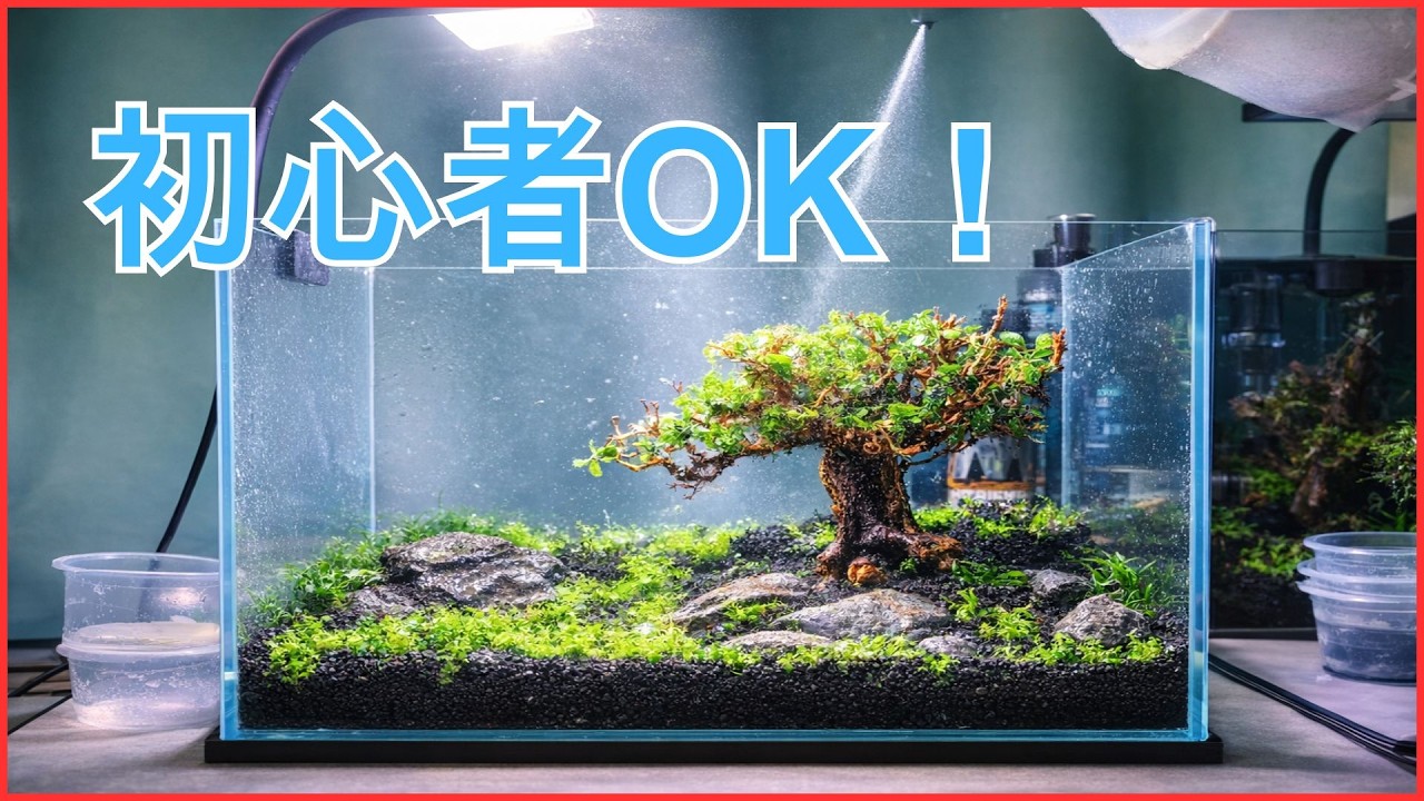 初心者OK！水草水槽の簡単な立ち上げ方法｜モスツリーの作り方も解説