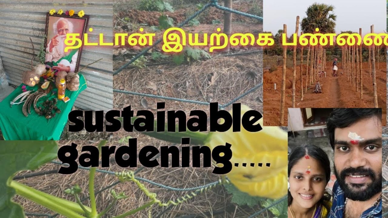 Future Generation Farming