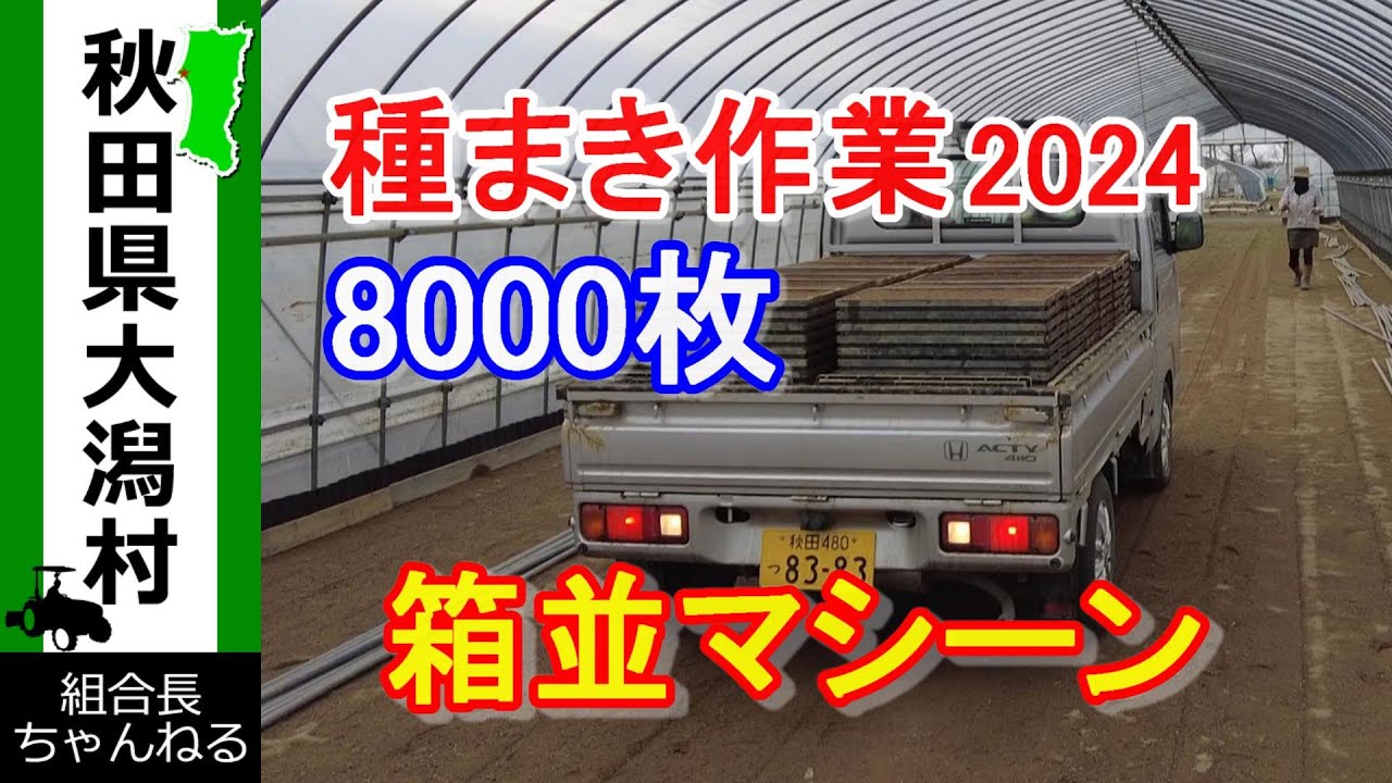 【種まき作業　2024】8000枚　箱並マシーン