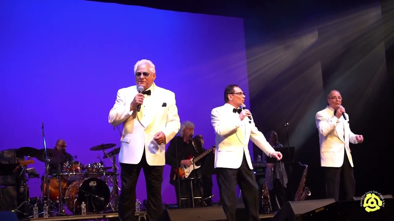 THE DUPREES - Have You Heard- Tommy Petillo