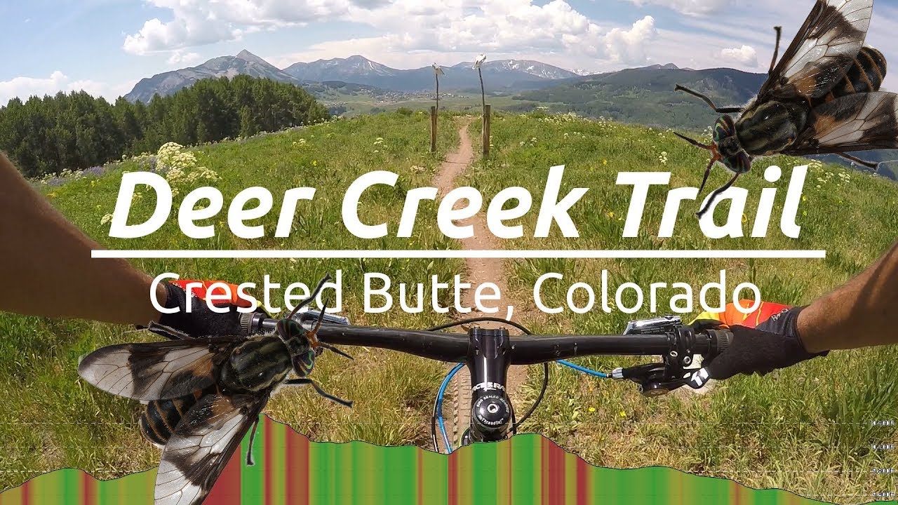 Flies and Wildflowers :|: Mountain Biking Deer Creek Trail Crested Butte 2017