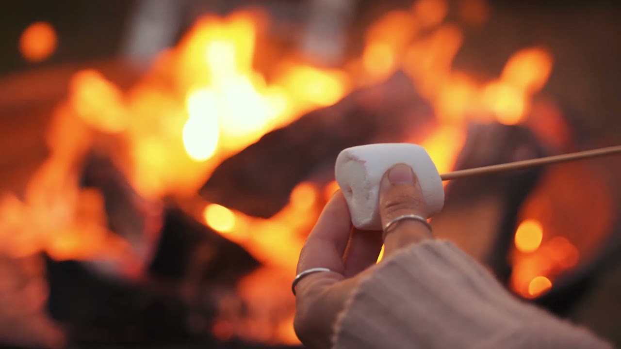 Roasting marshmallows over the campfire || Ambiance 1 hour