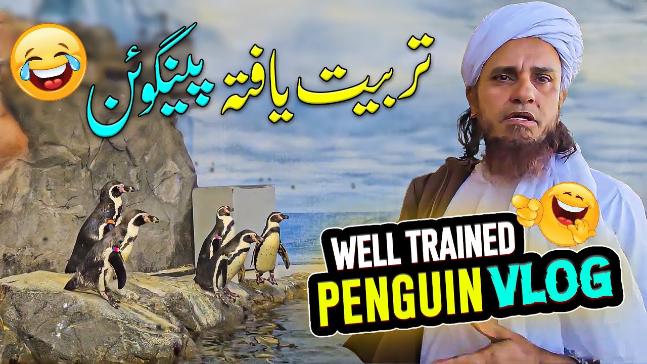 Mufti Tariq Masood - Fish Aquarium Vlogs - Part 2