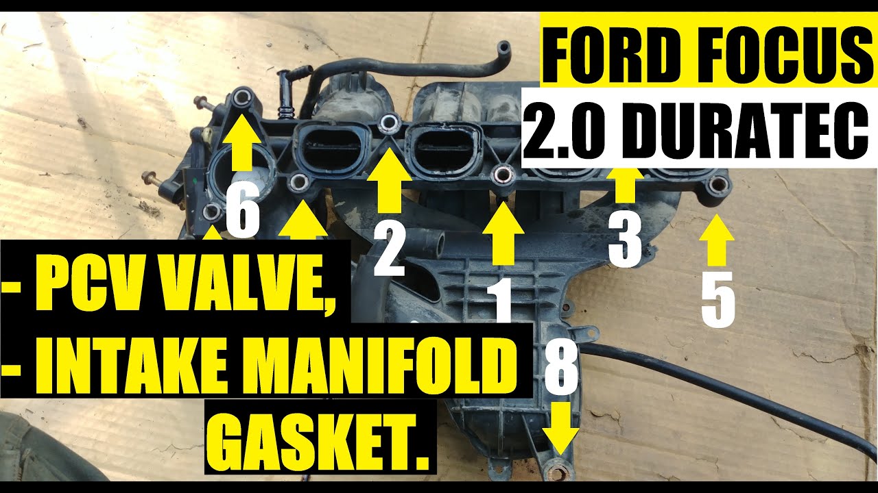 FORD FOCUS 2.0L DURATEC: КЛАПАН PCV, ШЛАНГ И ПРОКЛАДКА ВПУСКНОГО КОЛЛЕКТОРА (последовательность б...