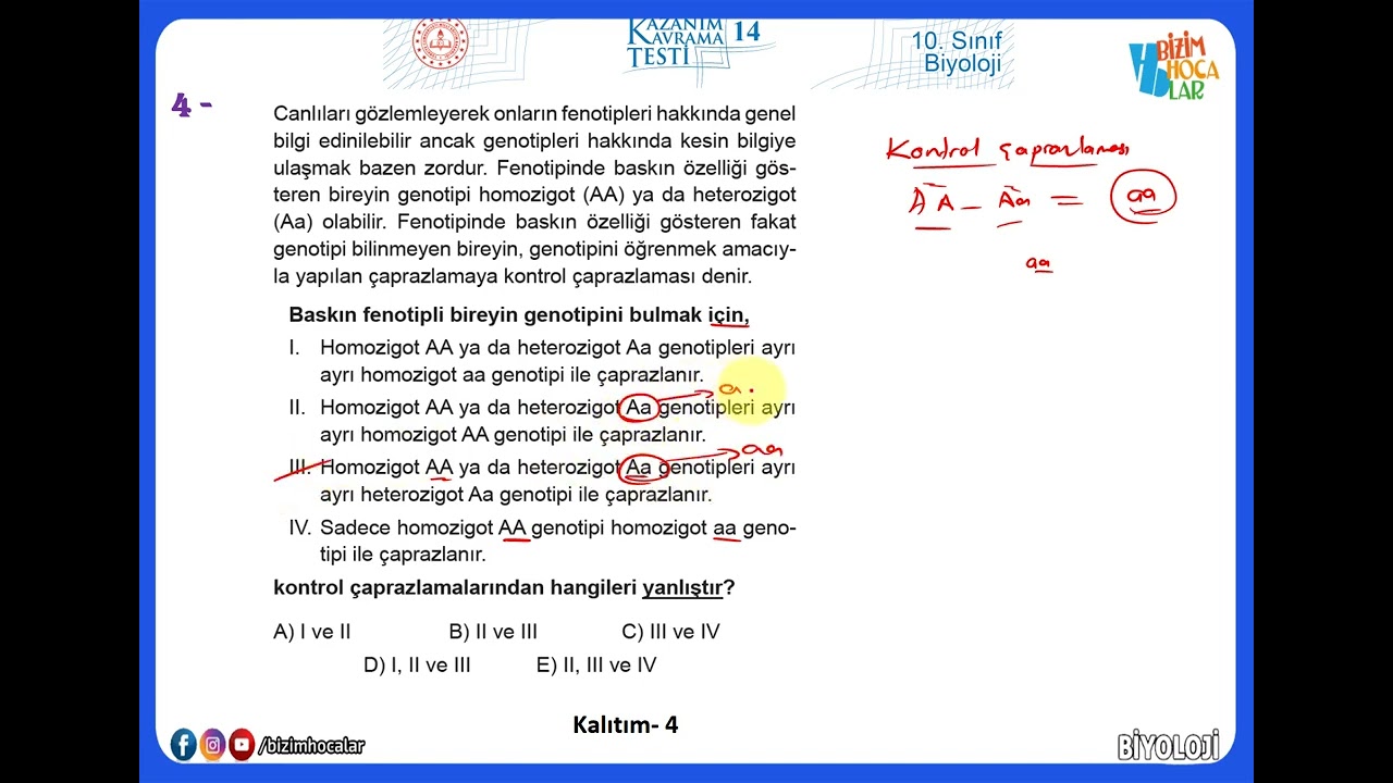 10. Sınıf Biyoloji Kazanım Testleri-14 (2022 - 2023) Kalıtım -4