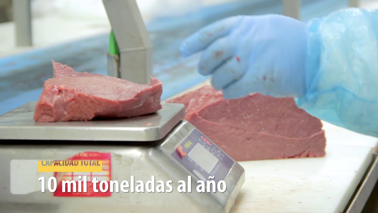 Plantas 5 y 6 - Carnes