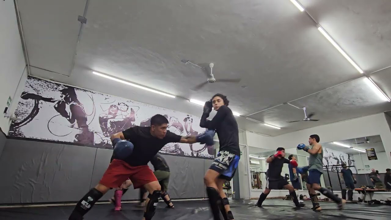 Sparring 6 feb 2026 1/2