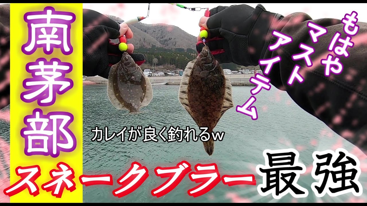 【釣り】【スネークブラー＆タルタル】南茅部でなんとなく試している独自のリグ「スネークブラー」がカレイの反応良く、爆釣!!