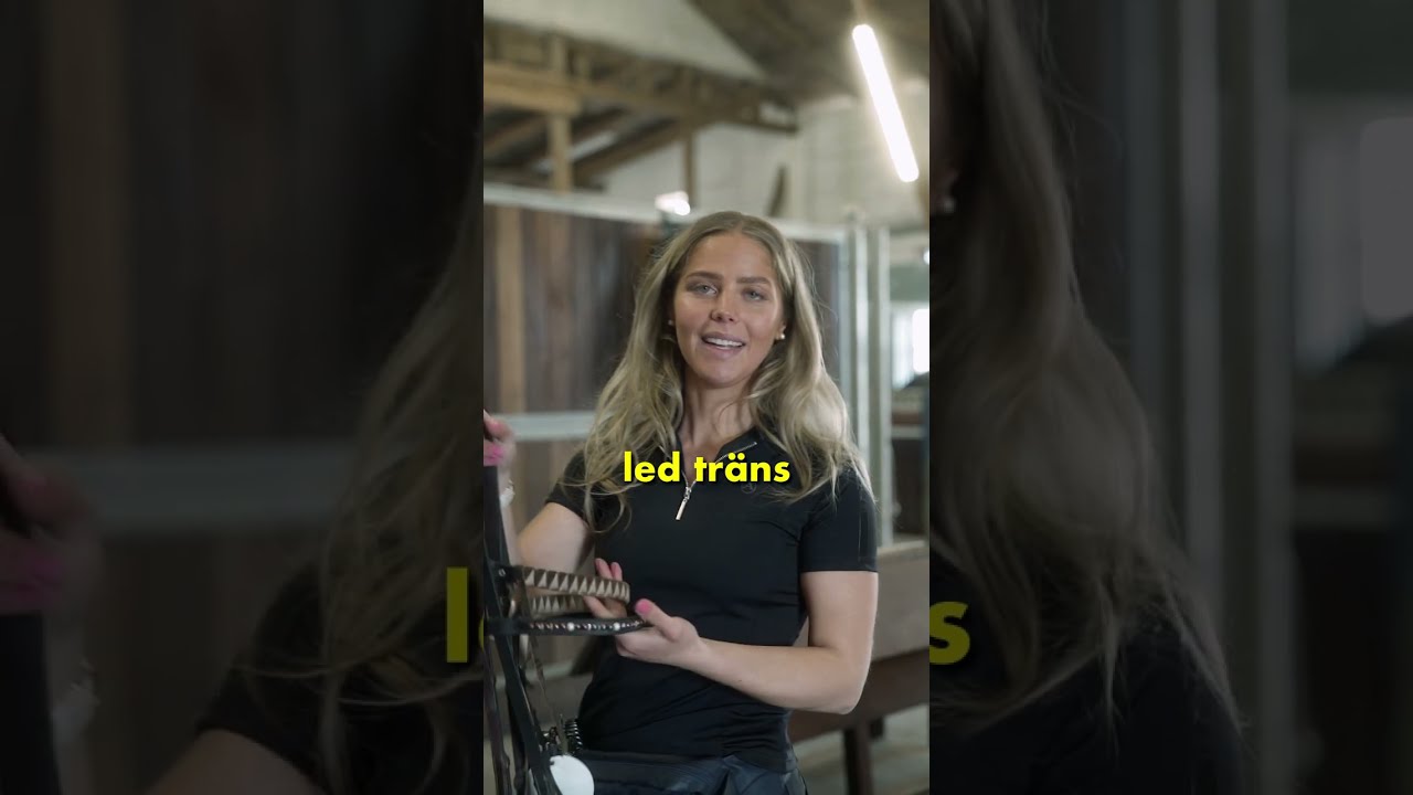 Vad har HAMMARSTRÖM i sitt SADELSKÅP?!