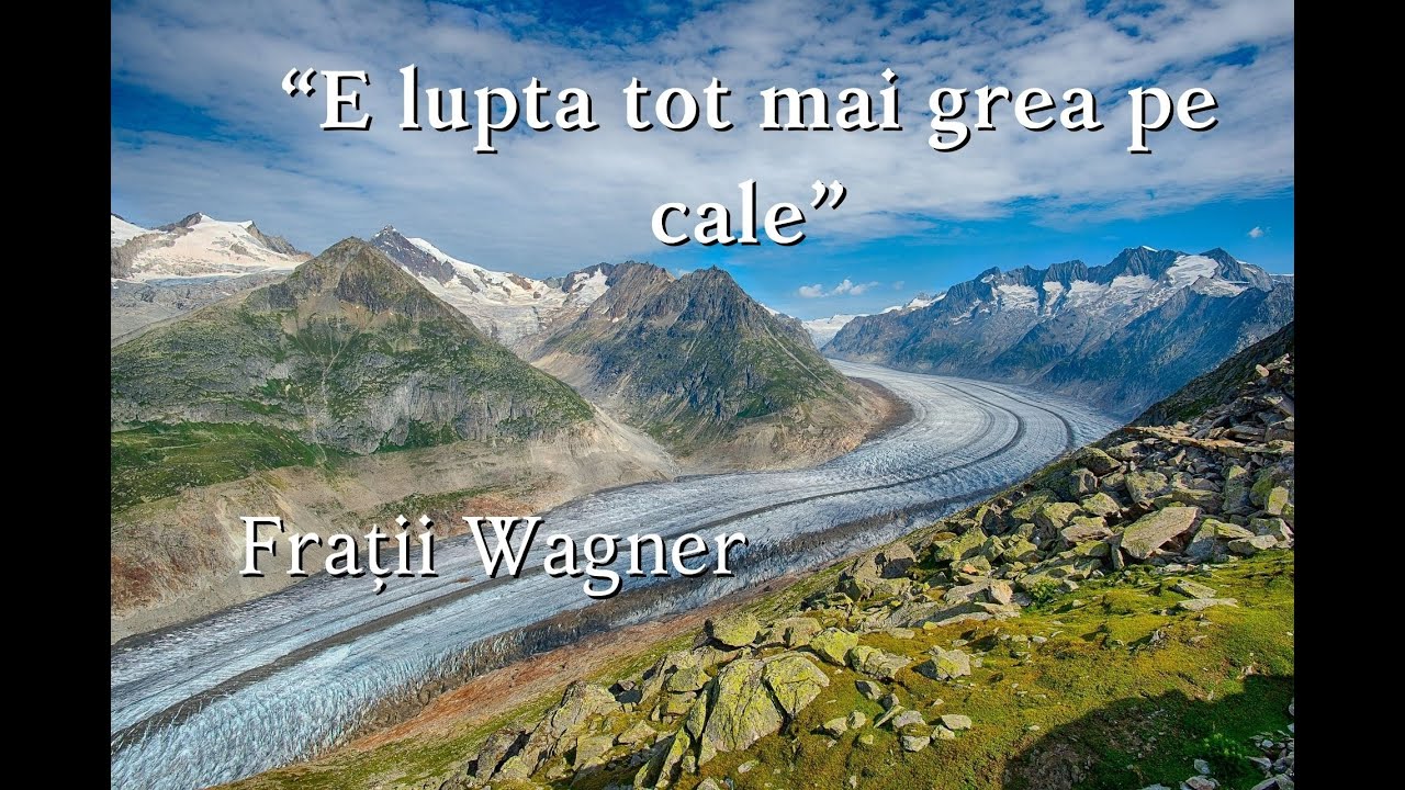 Fratii Wagner 