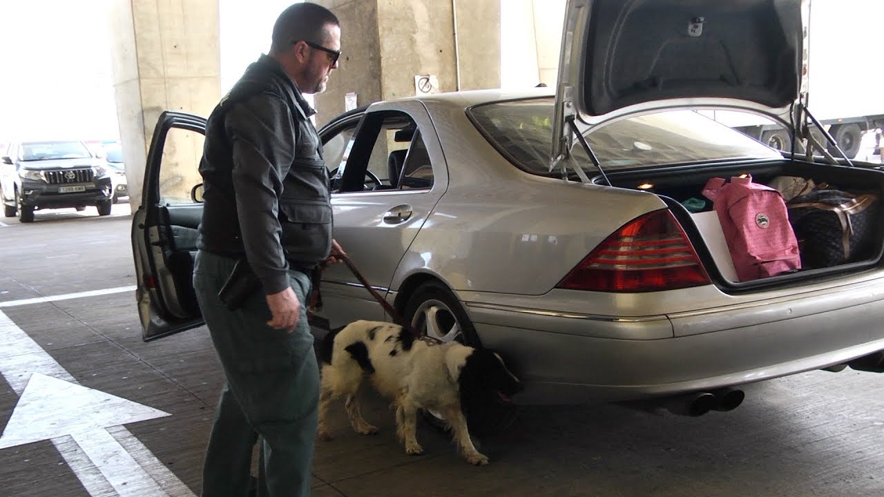 El servicio canino de la Guardia Civil localizó 858 personas en puerto comercial en 2019