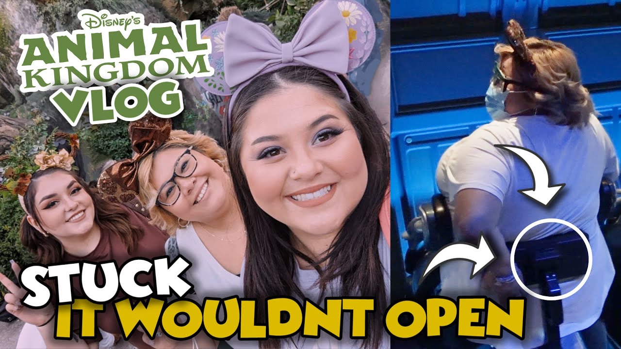 Stuck On Flight of Passage at Disney World! *Panic Attack* + Disney Giveaway!