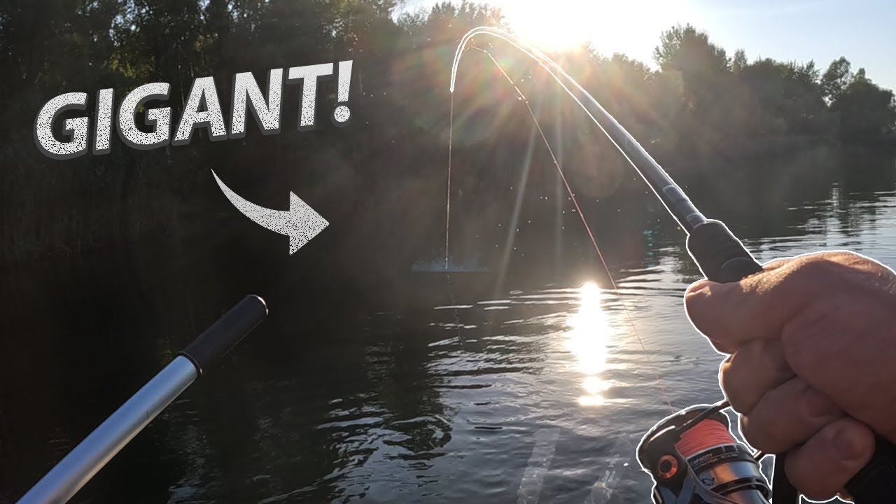 ŻYCIOWY SZCZUPAK NA SPINNING Z BELLY BOAT!