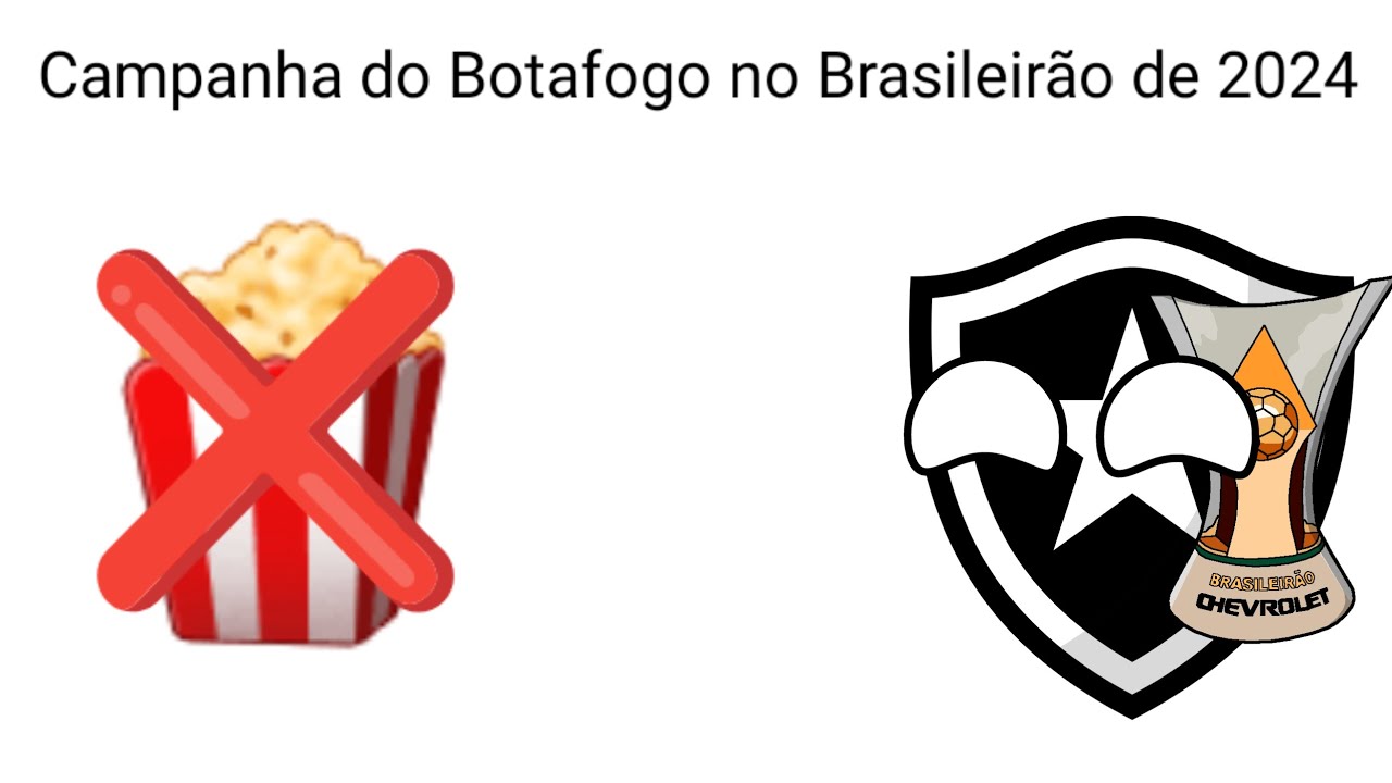 Campanha do Botafogo no Brasileirão de 2024