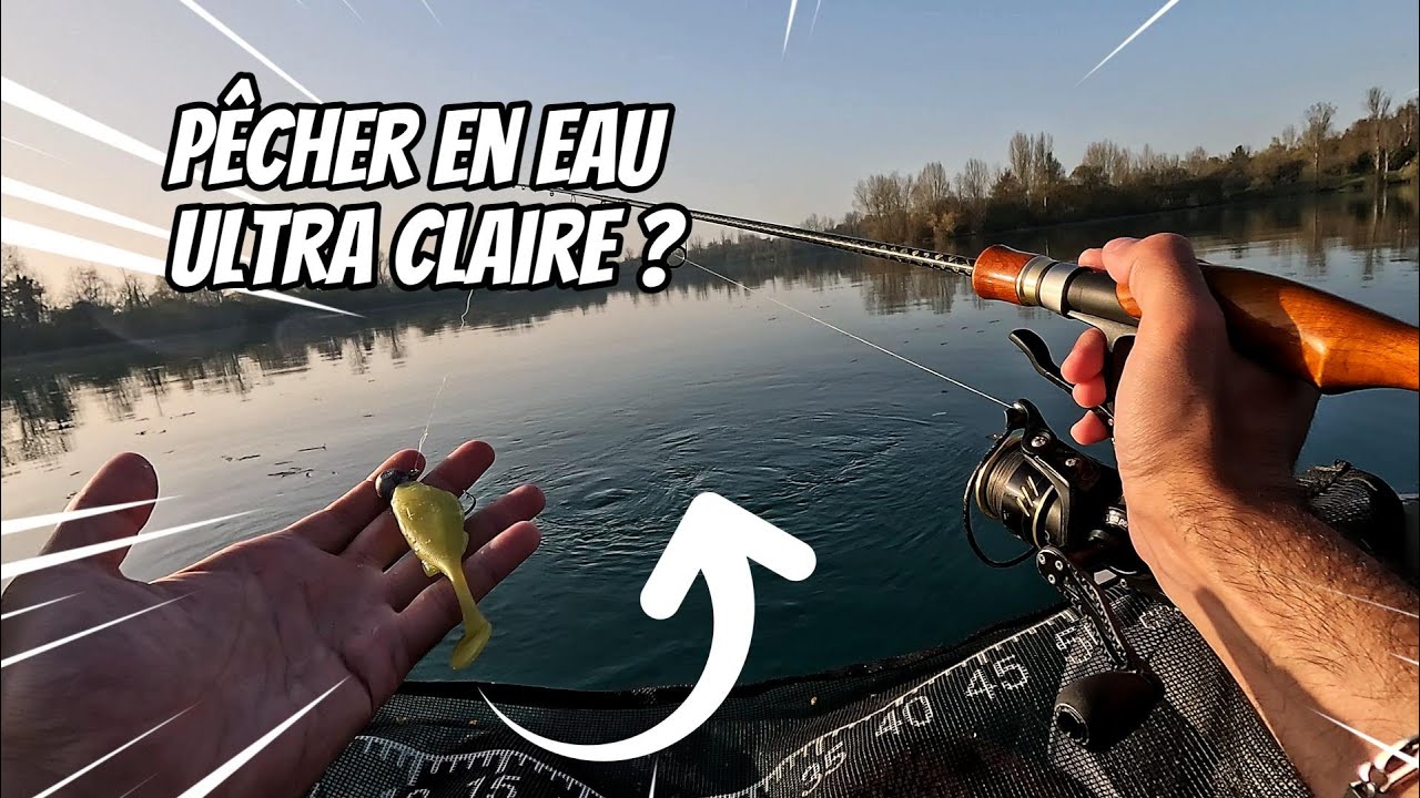 On pêche EN VERTICALE dans une eau ULTRA CLAIRE des BEAUX POISSONS (sandres et perches) !