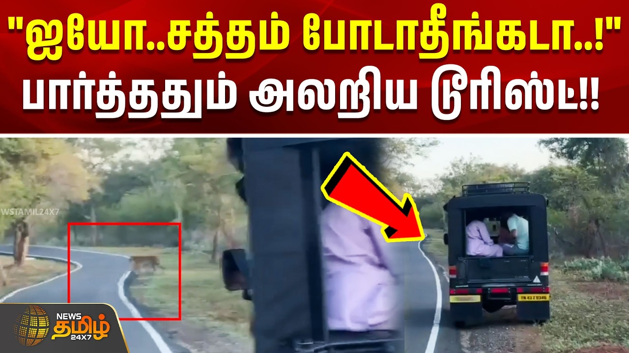 ஐயோ..சத்தம் போடாதீங்கடா..!