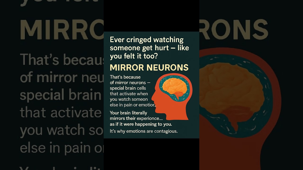 The Mirror Effect #MirrorNeurons #EmpathyScience #PsychologyFacts #EmotionalConnection #BrainWired