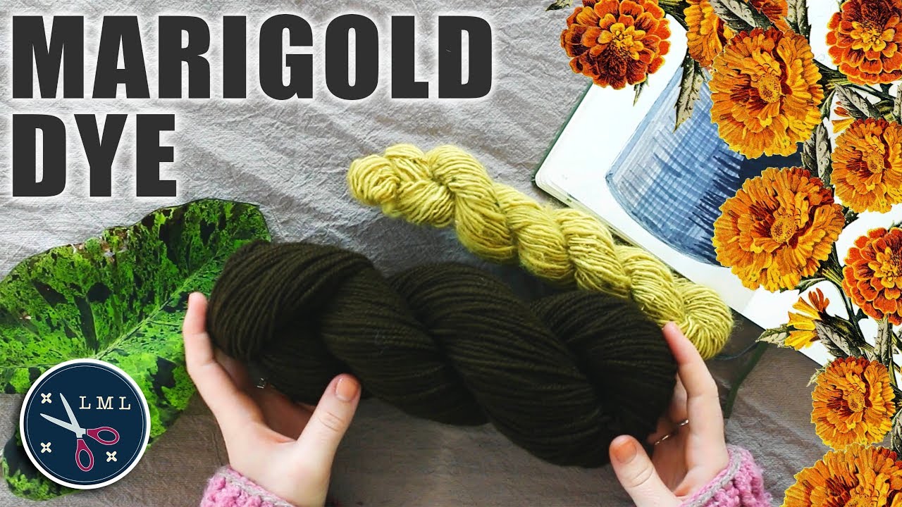 Dye wool with marigold flowers! Natural Dye Experiment | Last Minute Laura