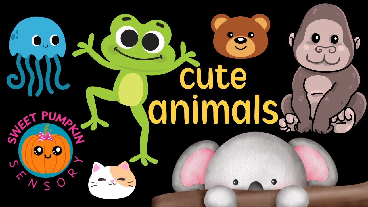 Cute Animals BABY SENSORY High Contrast Video! #babysensory #babydevelopment