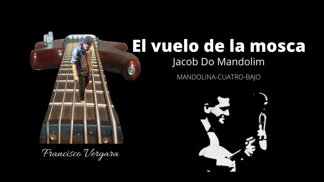 EL VUELO DE LA MOSCA-JACOB DO BANDOLIM-JOROPO-VERGARA MUSIC
