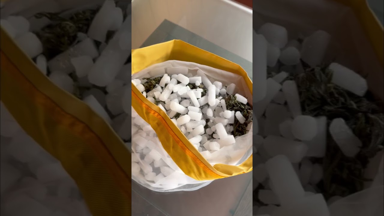🔬 Dry Sift mit Trockeneis &ndash; So funktioniert&rsquo;s! ❄️ #DrySift #Trockeneis #Extraction #HowTo #dry #DIY