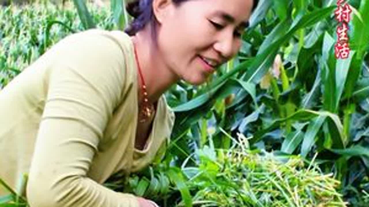 我家的小毛驴终于下了小小毛驴啦，给它割点嫩草… 记录我的乡村生活…田园生活、农村生活、记录美好生活、抖音记录我的日常生活、山里人家、大山里的生活、乡村振兴、服务三农支持三农、中国马犬、农村生活现...