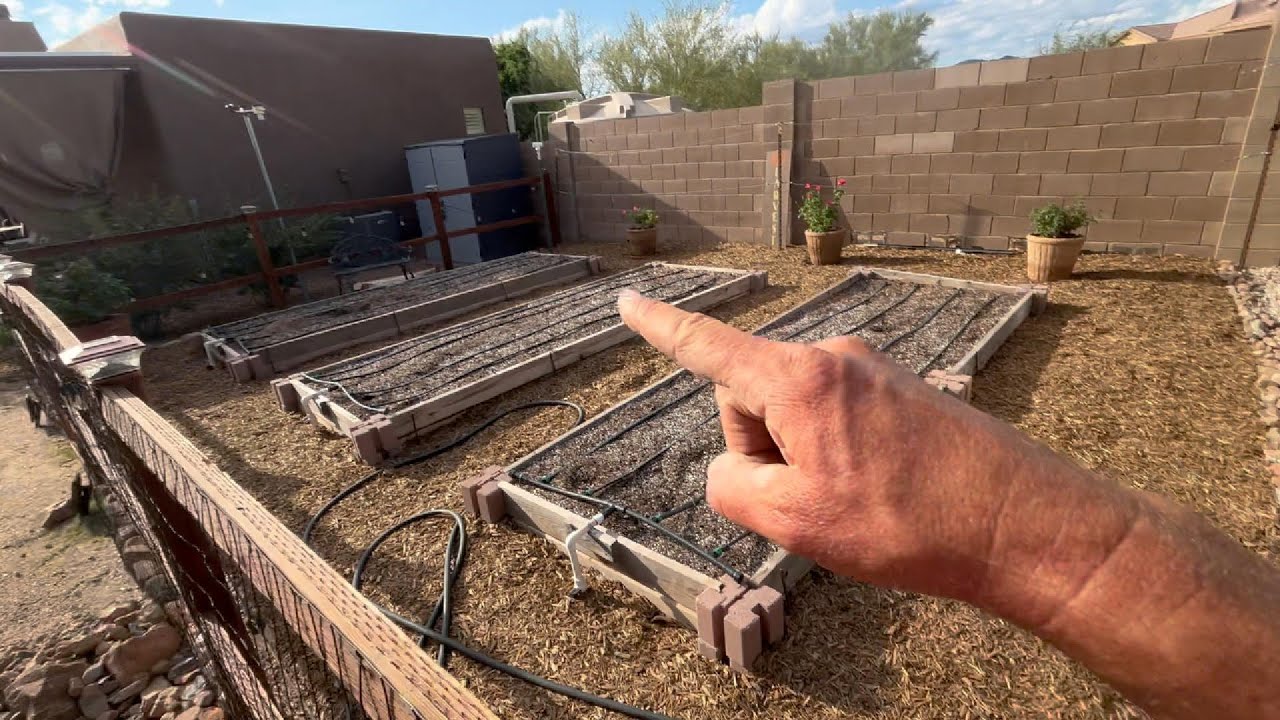 Rainwater Harvesting & Garden Systems | Phoenix Backyard Transformation