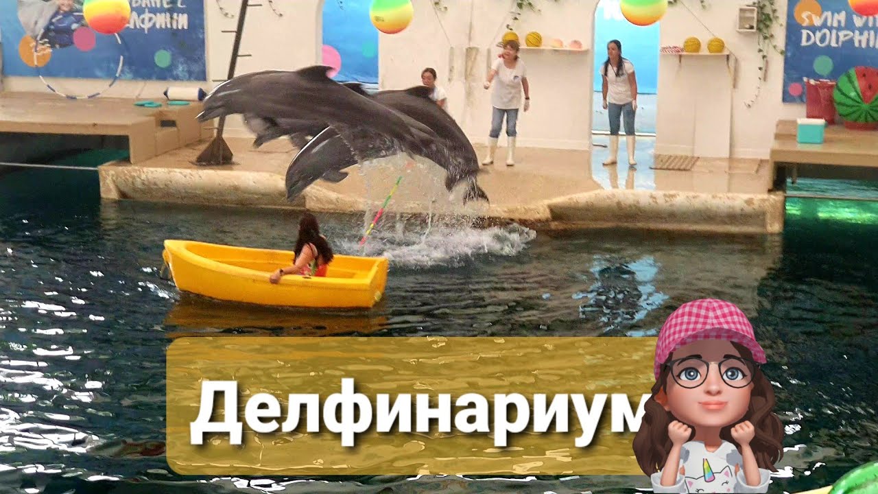 Делфинариум Варна и МАМА ПРИ ДЕЛФИНИТЕ 🐬🐬