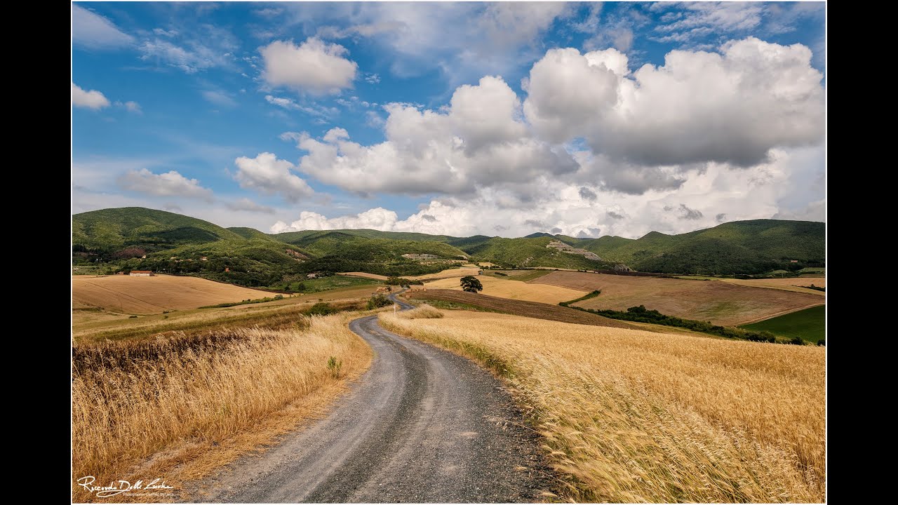 Tuscany Colline Pisane
